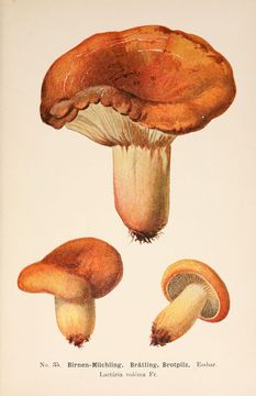 8.8509410651.580x360