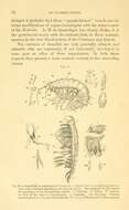 Image of Ampithoidae Boeck 1871