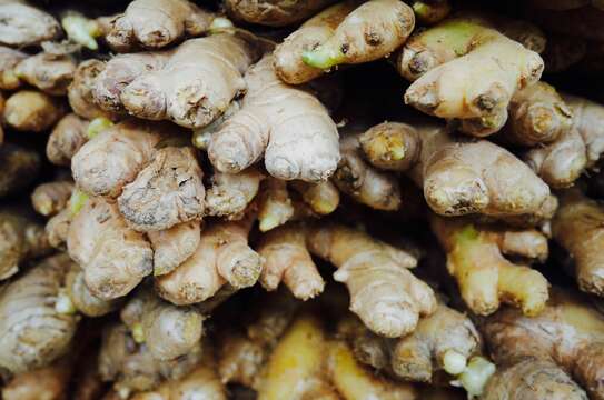 Image of Cooking Ginger