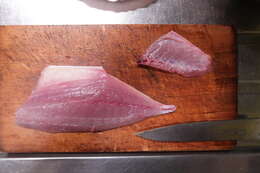 Image of Allied Kingfish