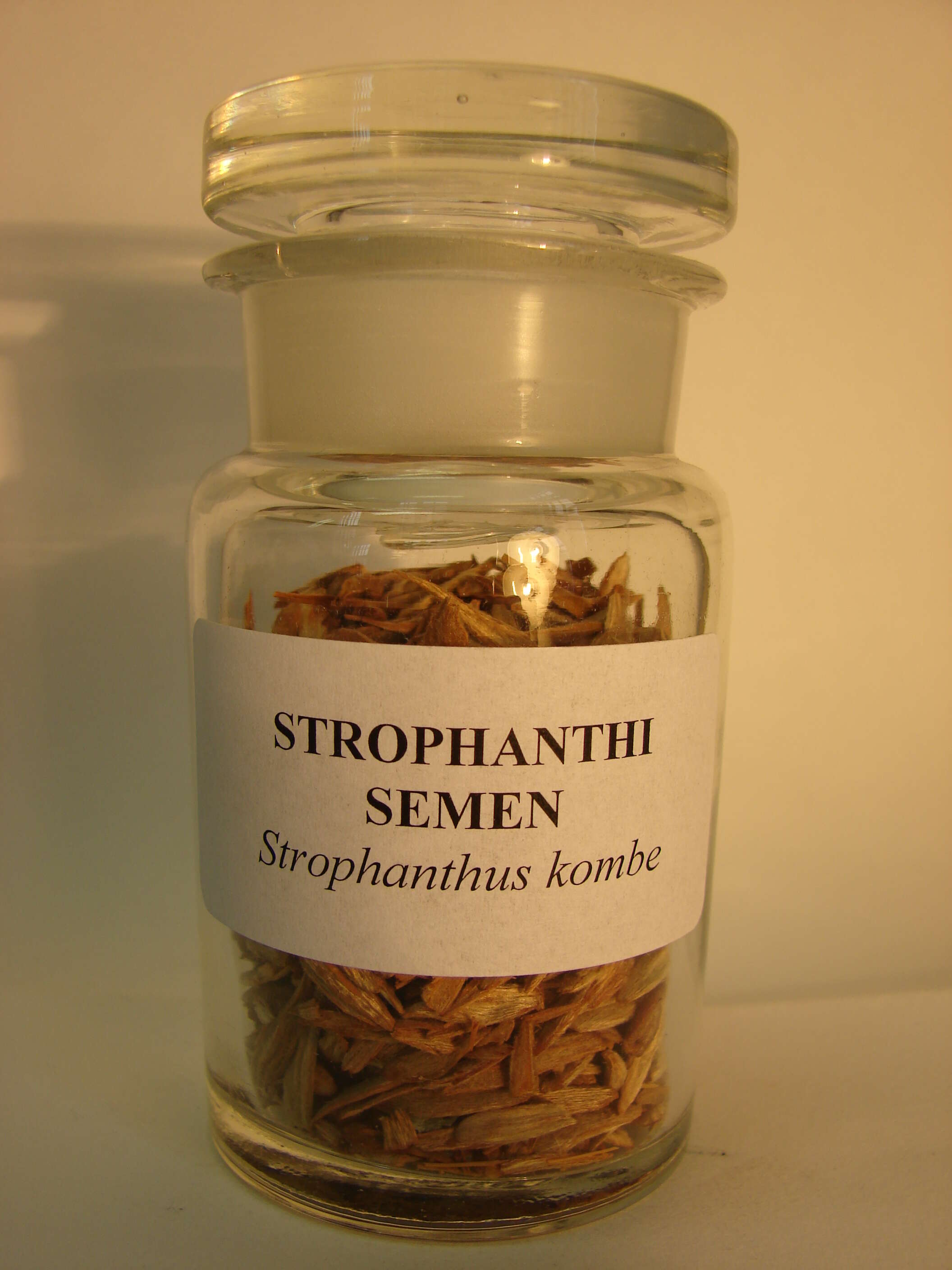 Image de Strophanthus kombe Oliv.