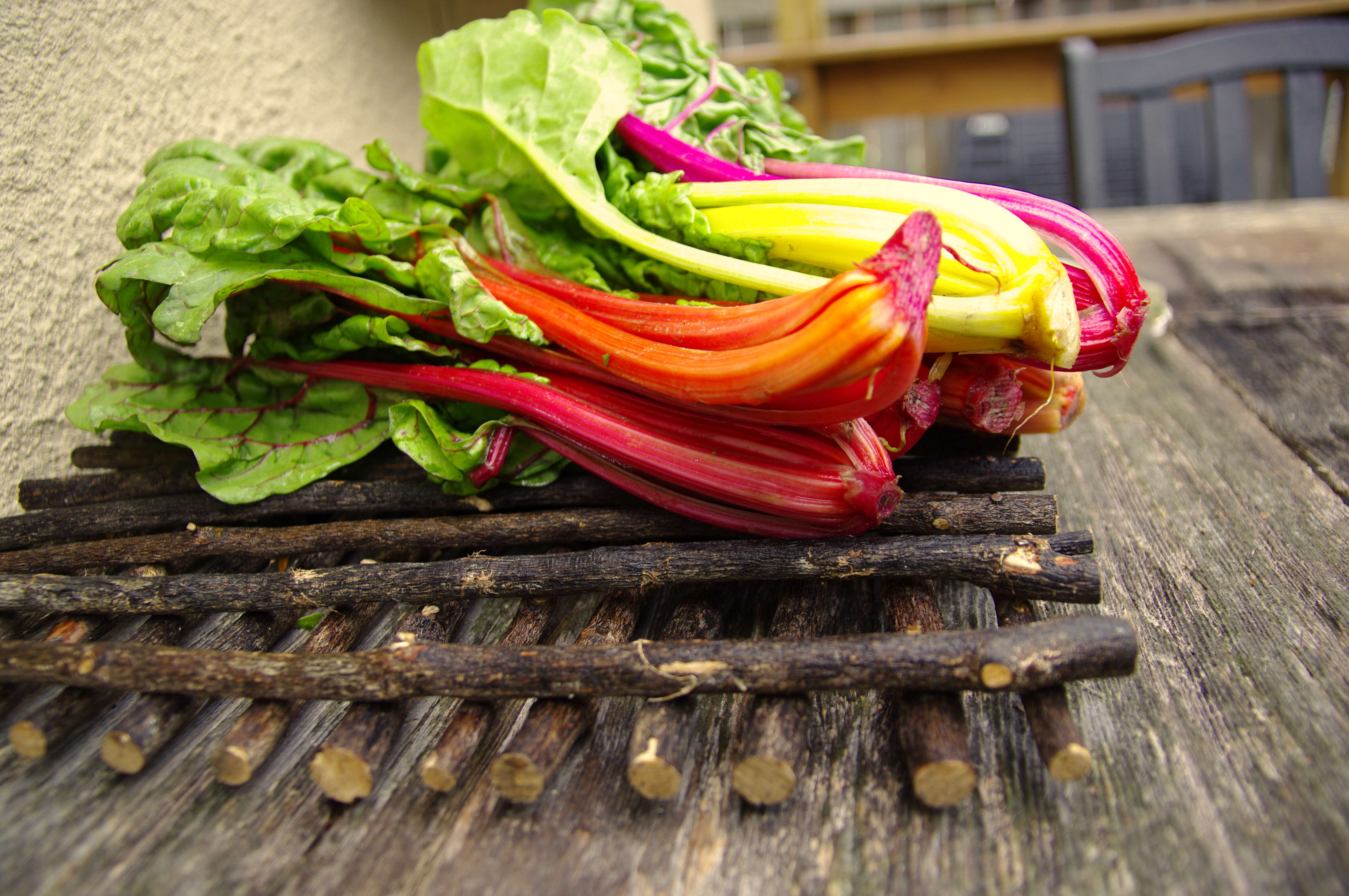 Image of Beta vulgaris subsp. vulgaris Cicla