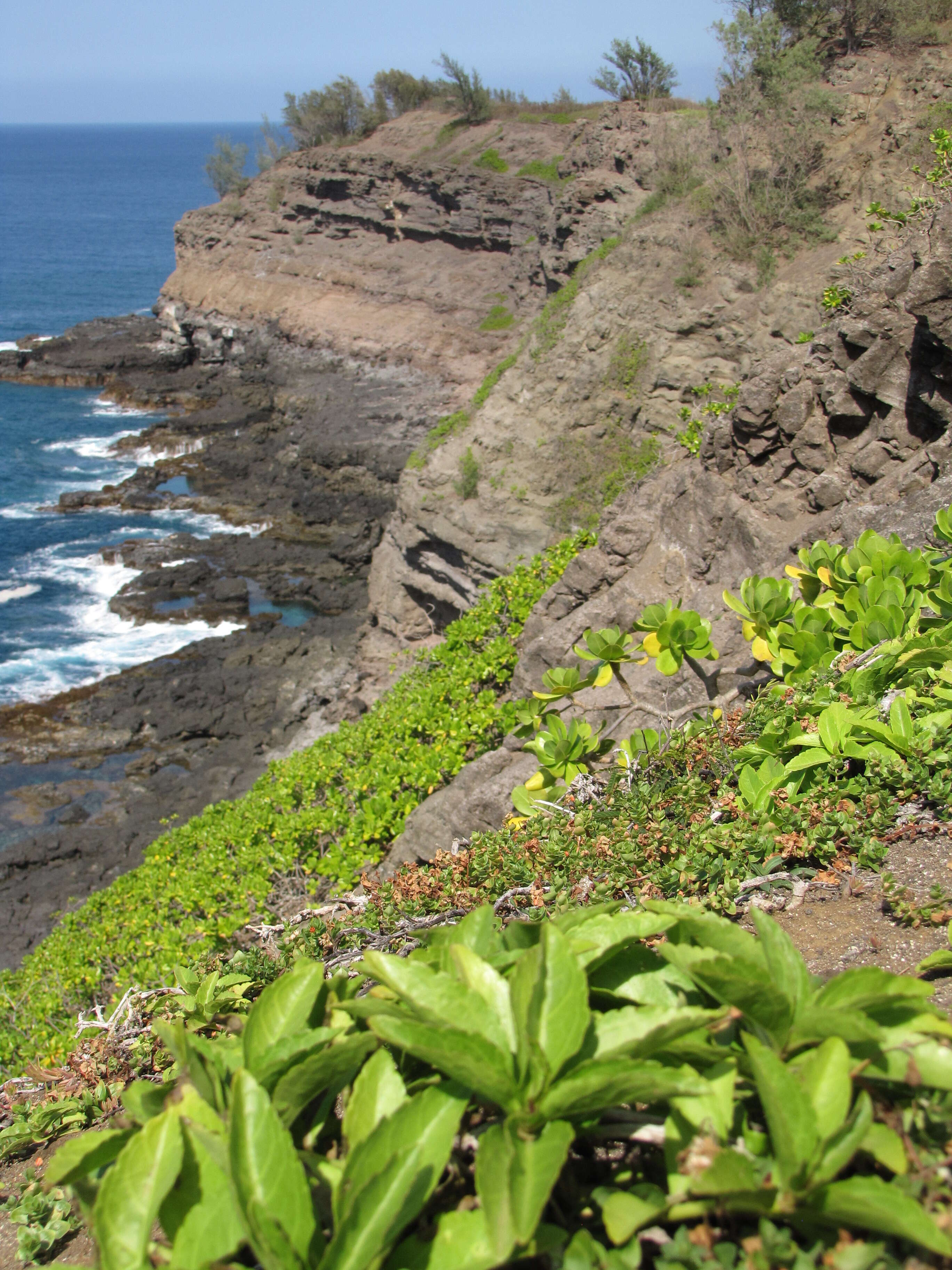 Image of seaside nehe