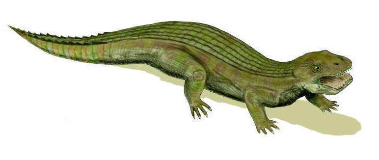 Image of Chimaerasuchidae