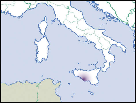 Image of Rupestrella Monterosato 1894