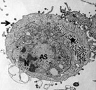 Image of Ranavirus