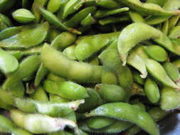 Image of soybean