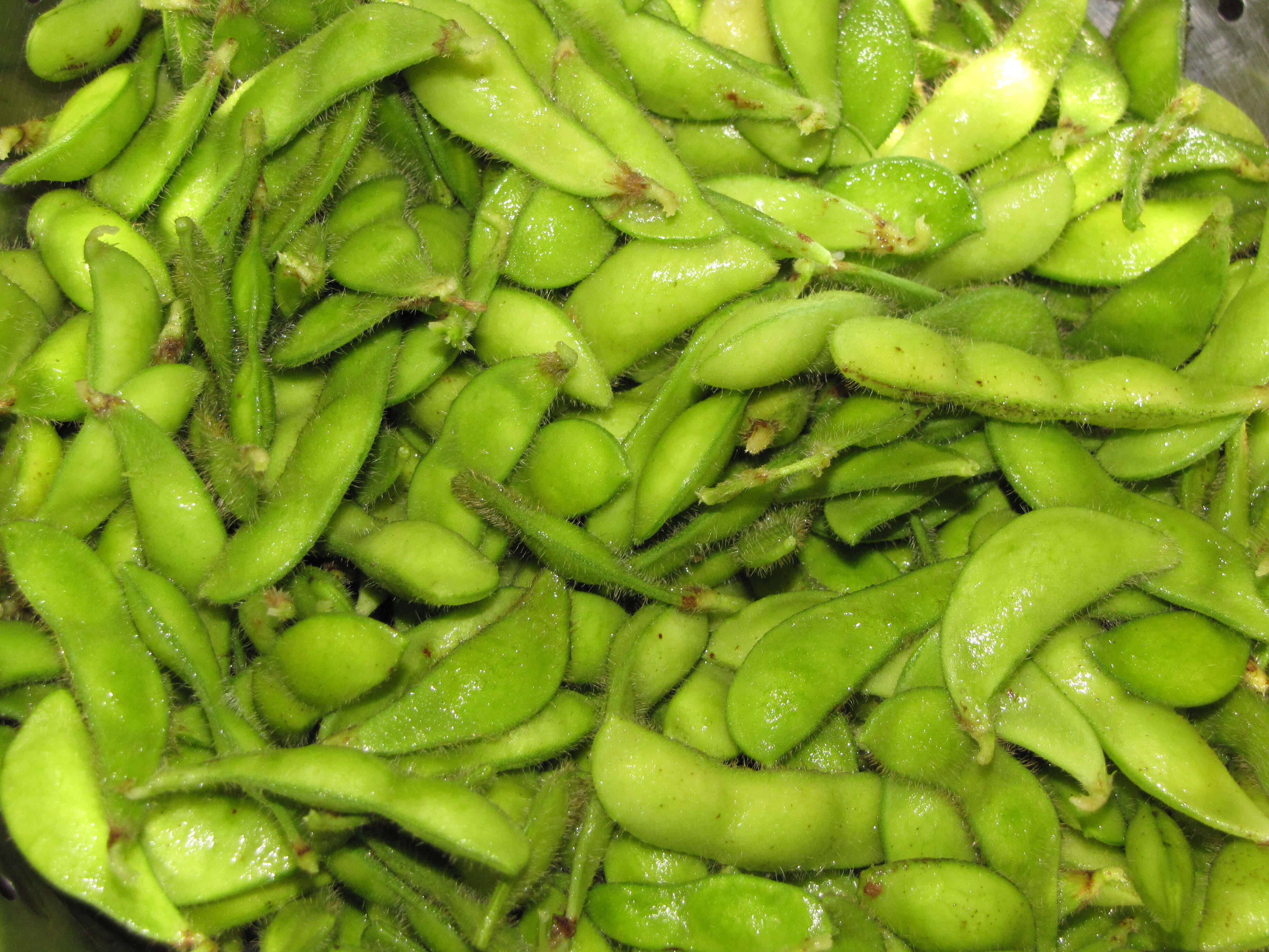 Image of soybean