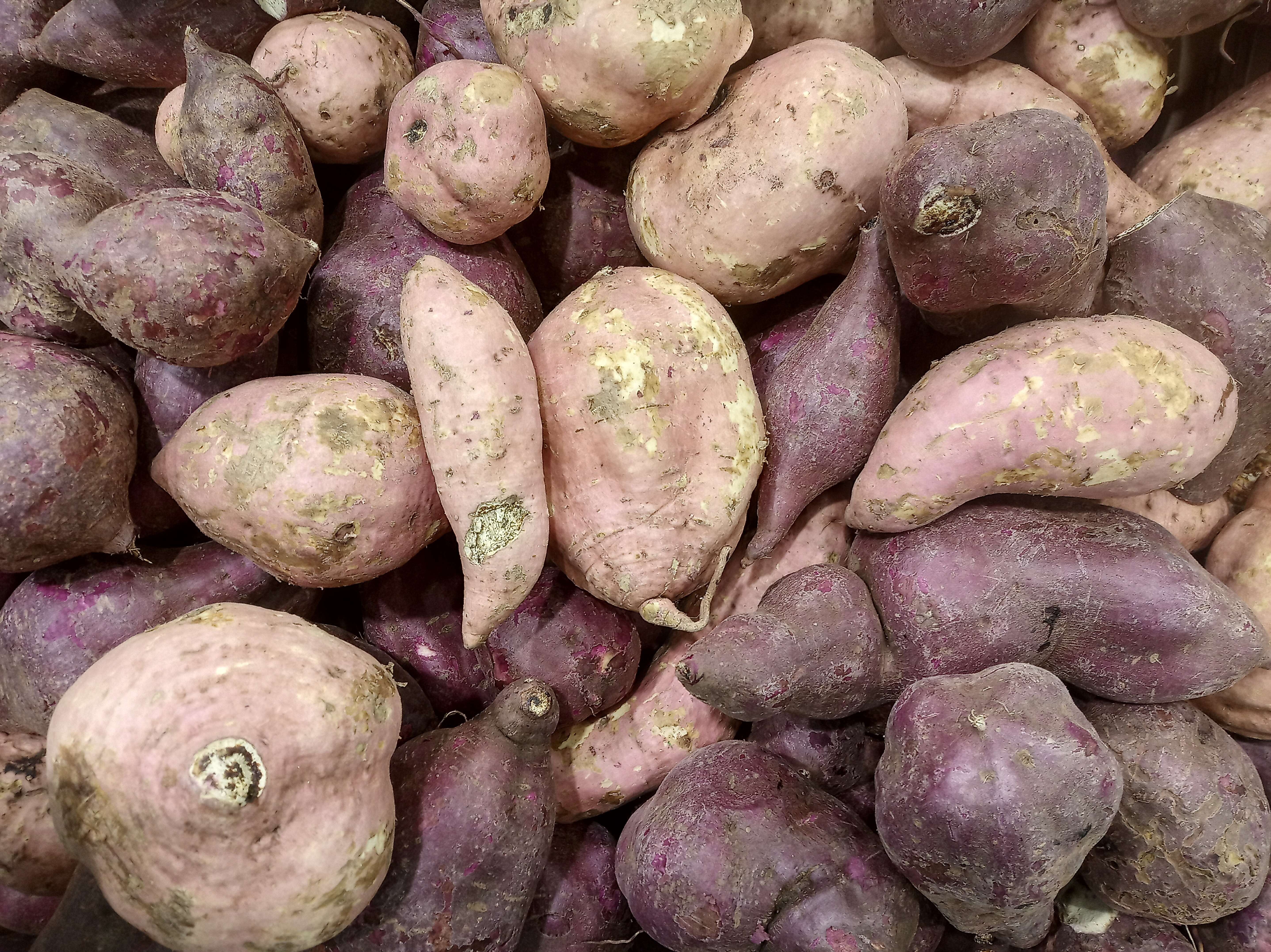 Image of sweet potato