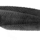 Sivun Paraliparis bathybius (Collett 1879) kuva