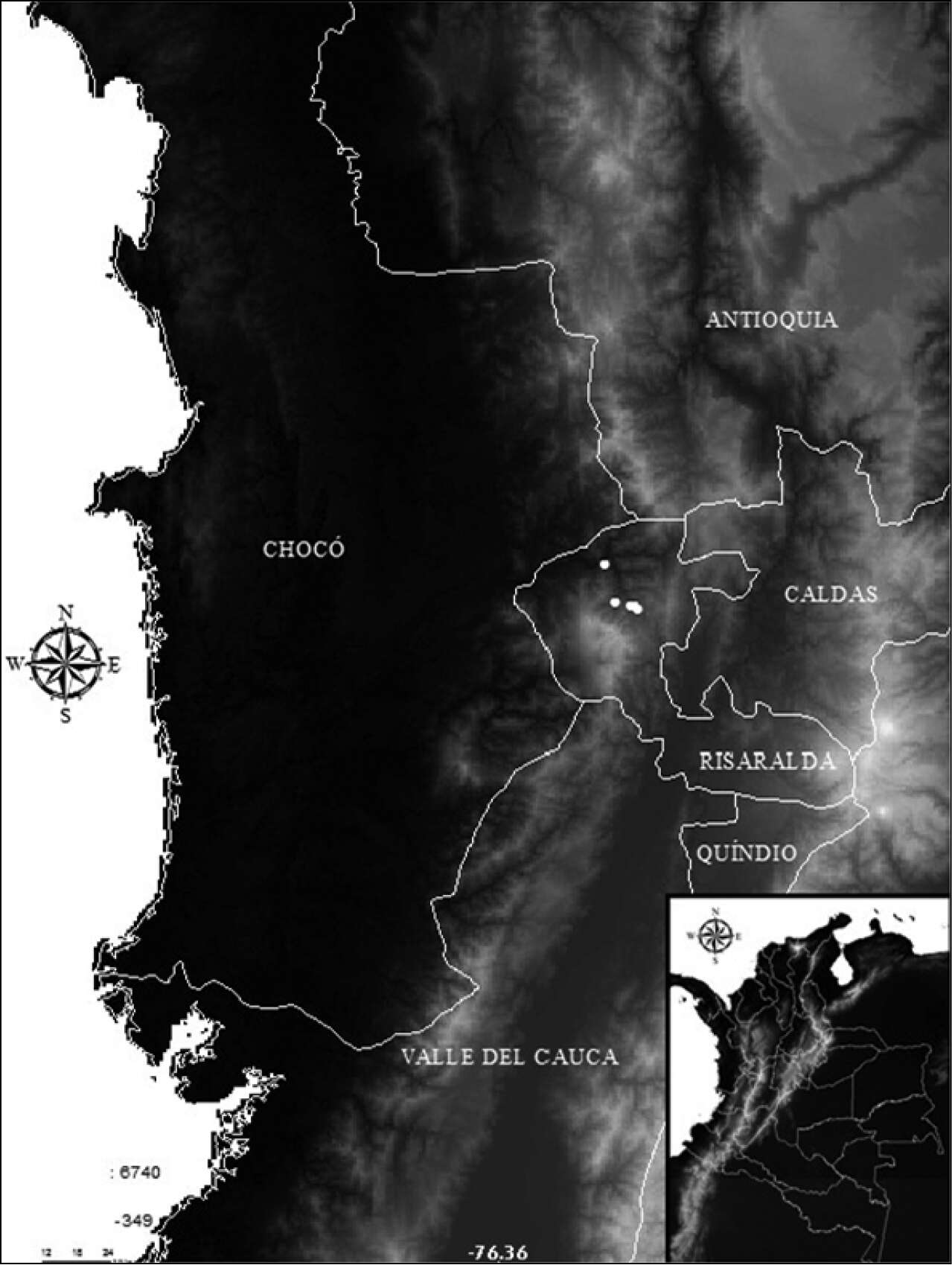 Image of Hemibrycon sanjuanensis Román-Valencia, Ruiz-C., Taphorn & García-Alzate 2014