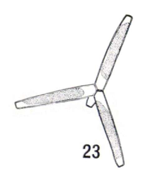 Image of Actinastrum Lagerheim 1882