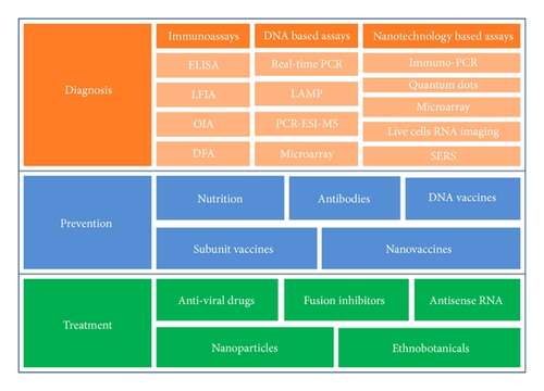 Image of Human respiratory syncytial virus