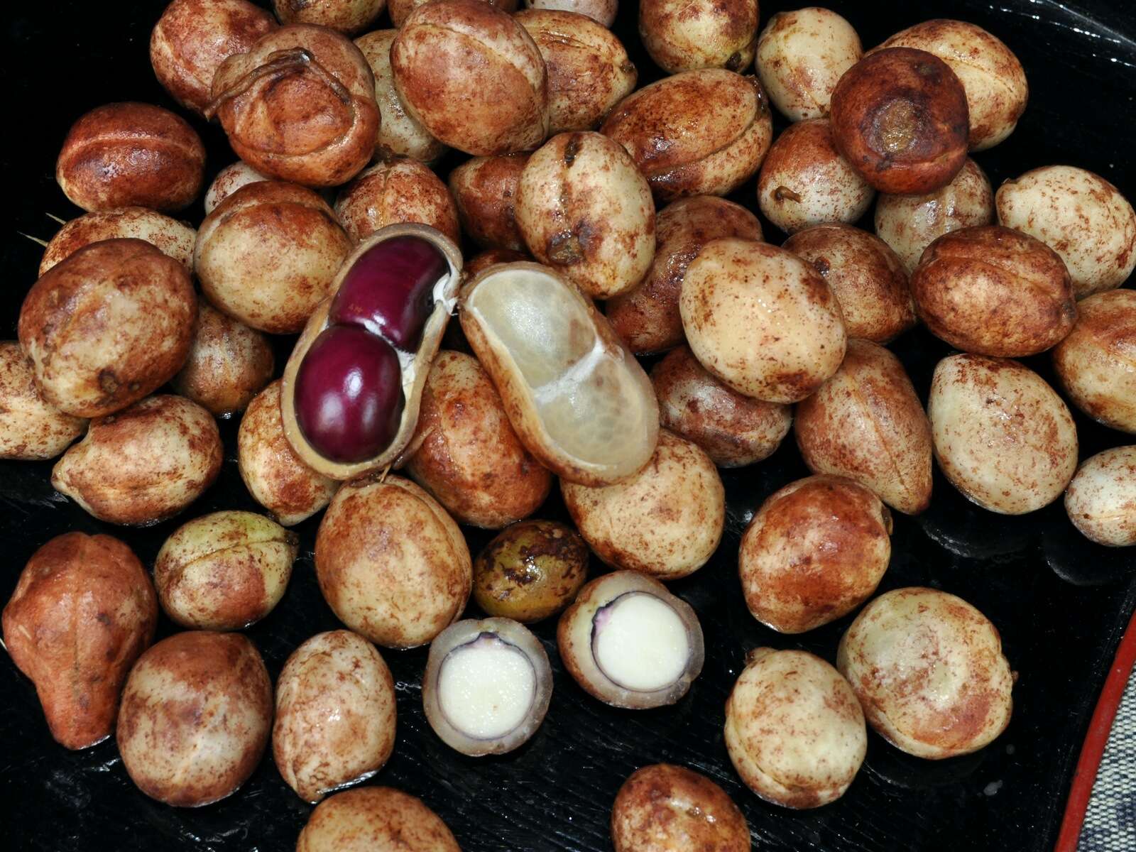 Image of bambarra groundnut