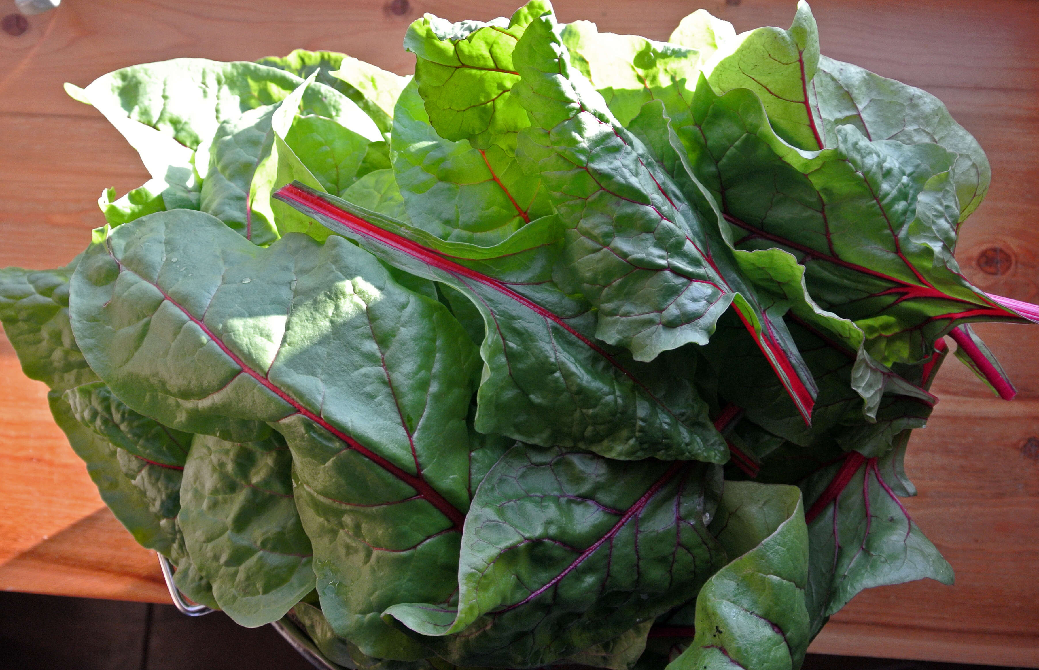 Image of Beta vulgaris subsp. vulgaris Cicla