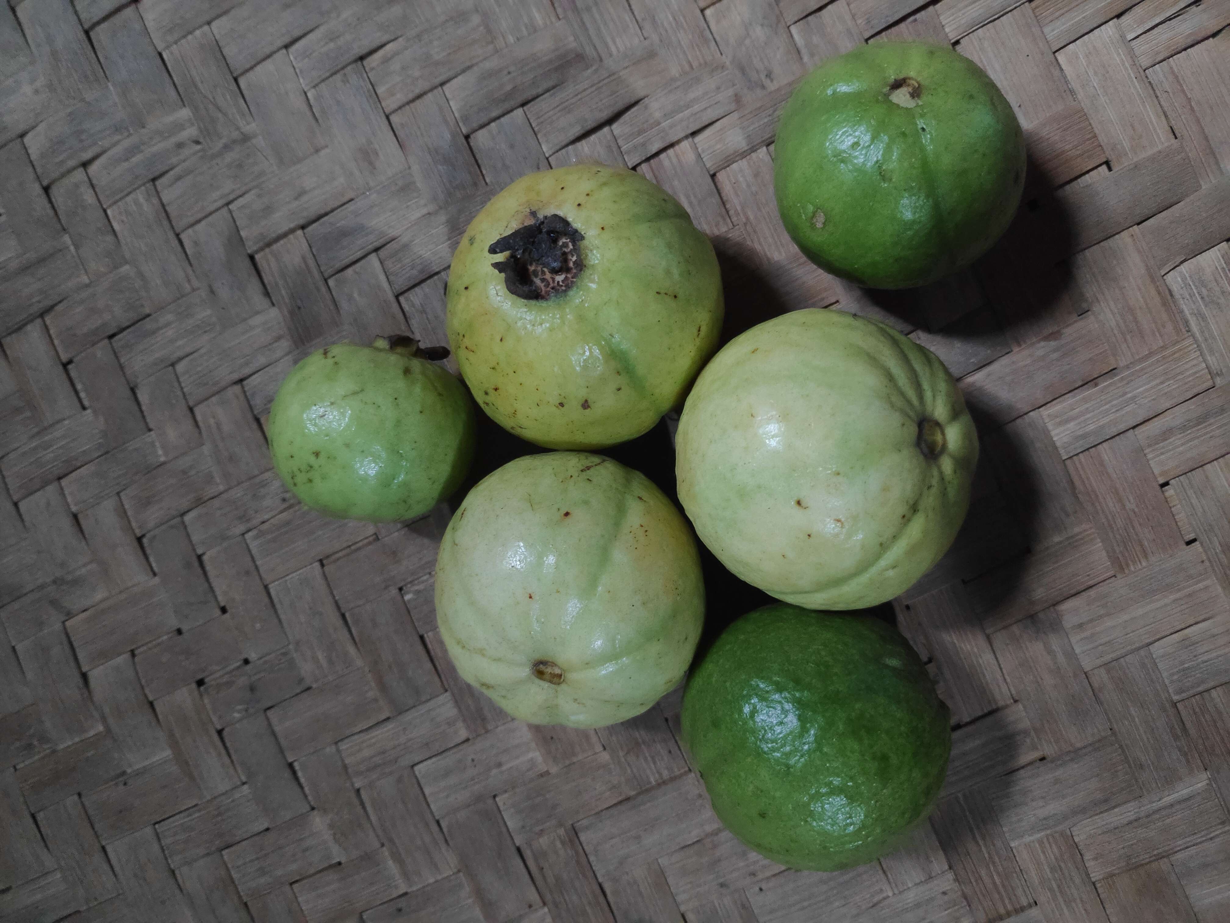 Image of guava