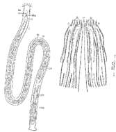 Image of Monostichoplana filum filum (Meixner 1938)