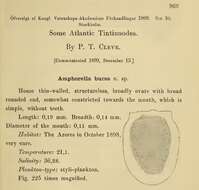 Image of Bursaopsis bursa (Cleve 1899) Kofoid & Campbell 1929