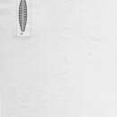 Image of <i>Fragilaria alternata</i> Frenguelli 1941