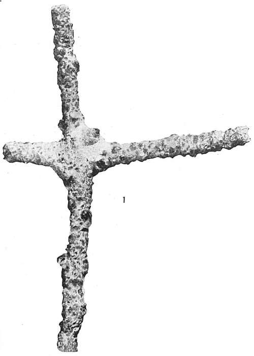 Image of Rhabdammina abyssorum Sars ex Carpenter 1869