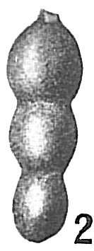 Image of Nodosaria soluta (Reuss 1851)