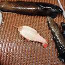 Image of smooth blind lobster