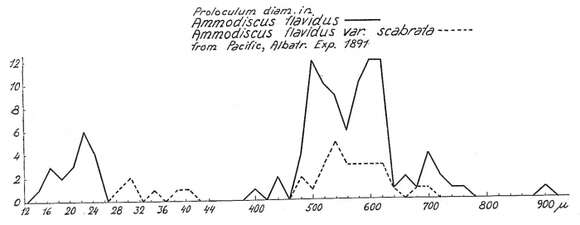 Image of Ammodiscus flavidus Höglund 1947