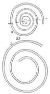 صورة Ammodiscus intermedius Höglund 1947