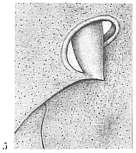 Image of Globobulimina Cushman 1927