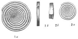 Image of Spirillina limbata Brady 1879