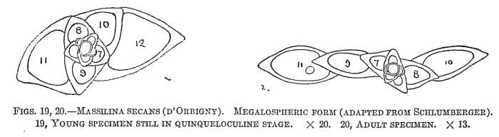 Image of Massilina Schlumberger 1893