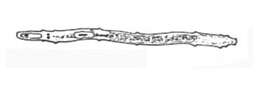 Image of spiralians