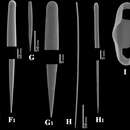 Image of Clathria (Clathria) coralloides (Scopoli 1772)