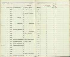 Image of Myiarchus panamensis panamensis Lawrence 1860