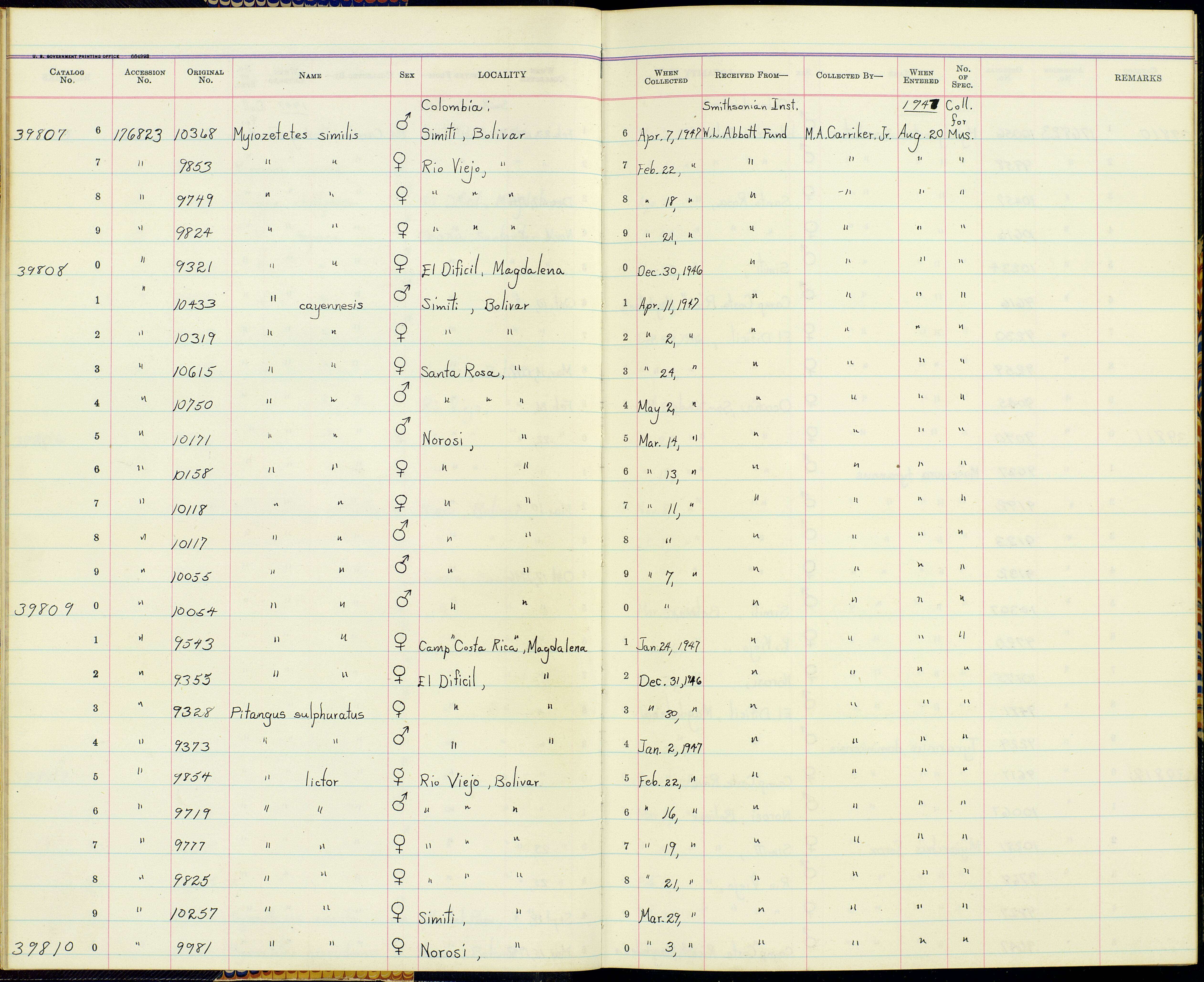 Sivun Myiozetetes cayanensis hellmayri Hartert & Goodson 1917 kuva