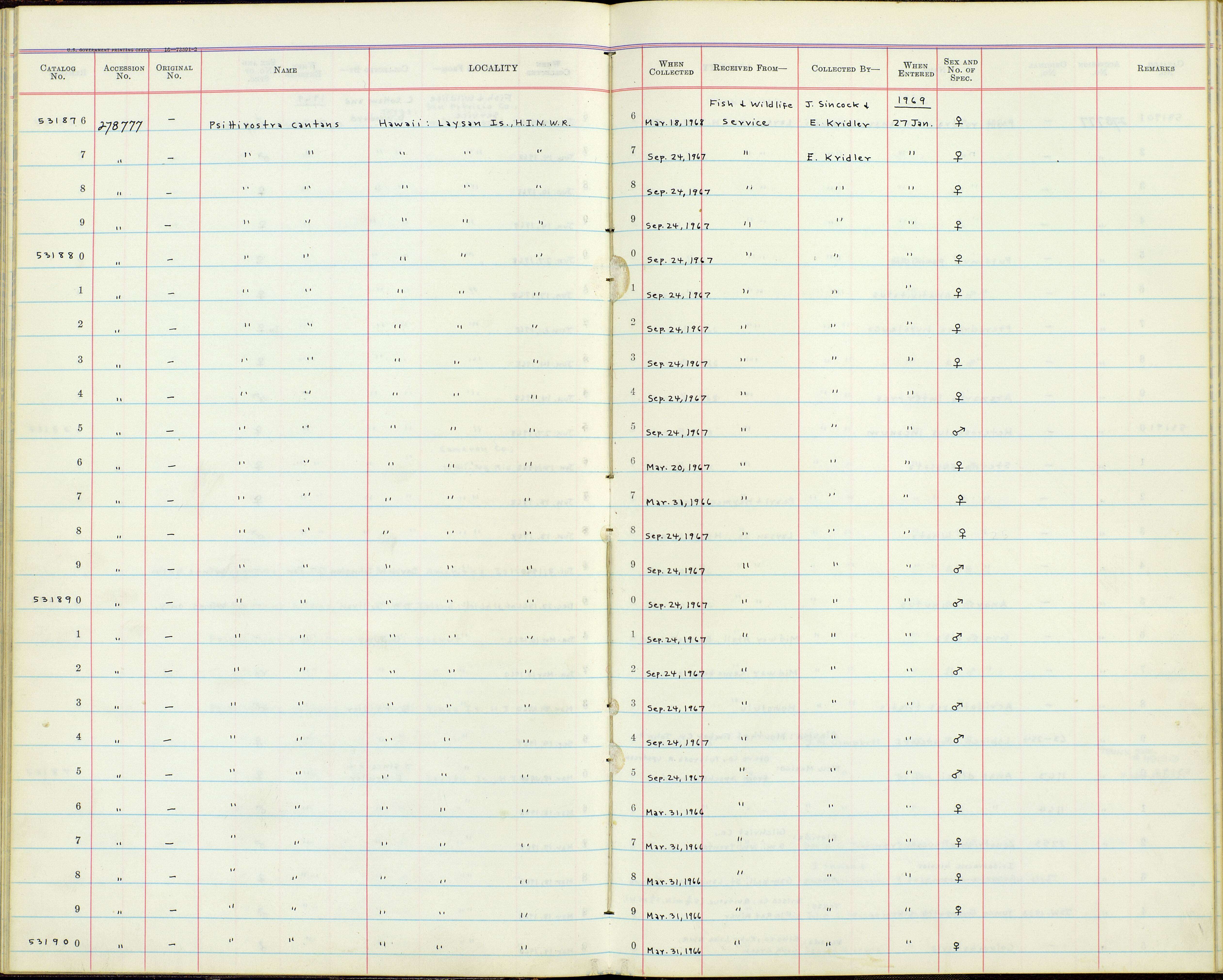 Image de Telespiza Wilson & SB 1890