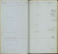 Image of Asio flammeus portoricensis Ridgway 1882