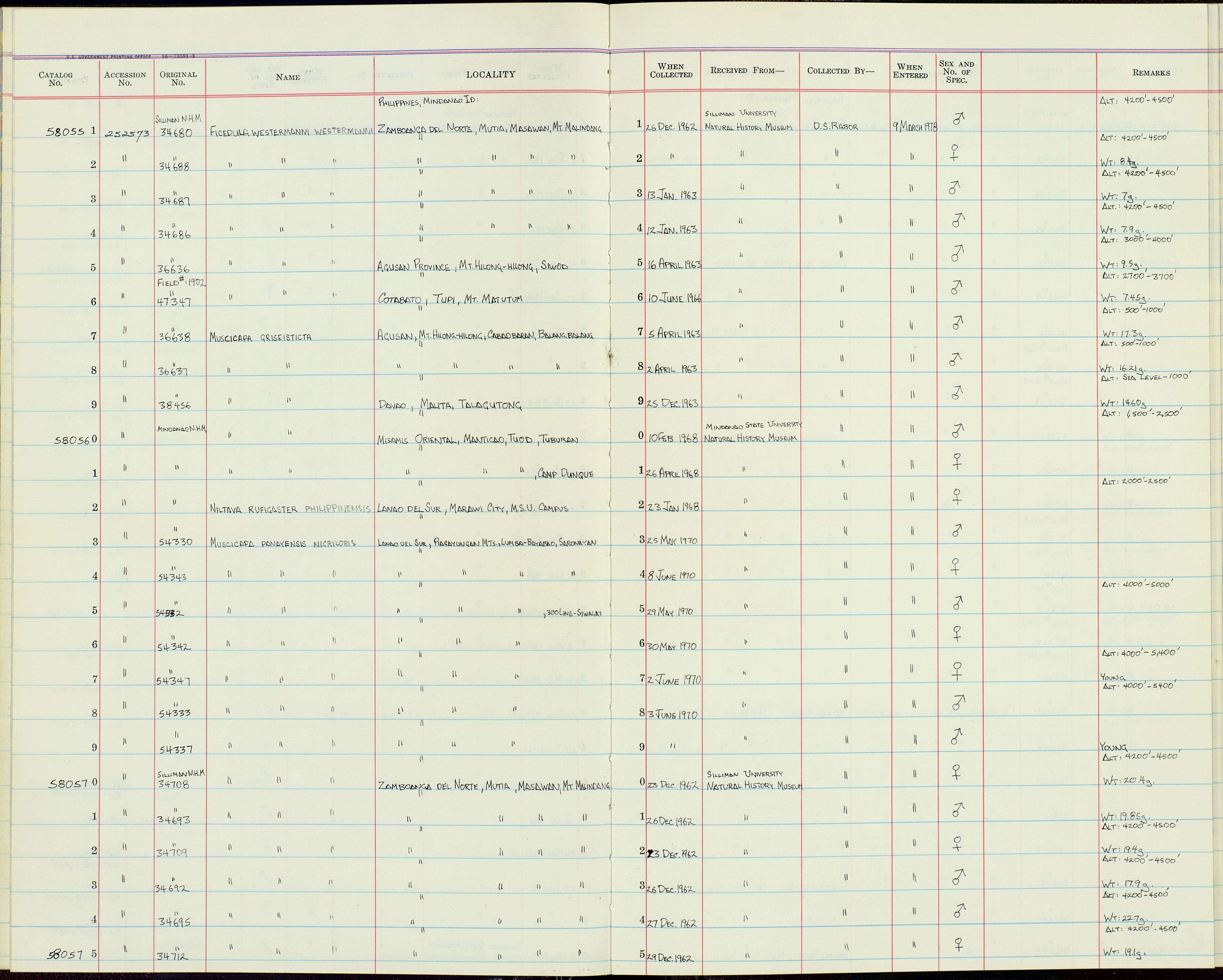 Image de Ficedula westermanni westermanni (Sharpe 1888)