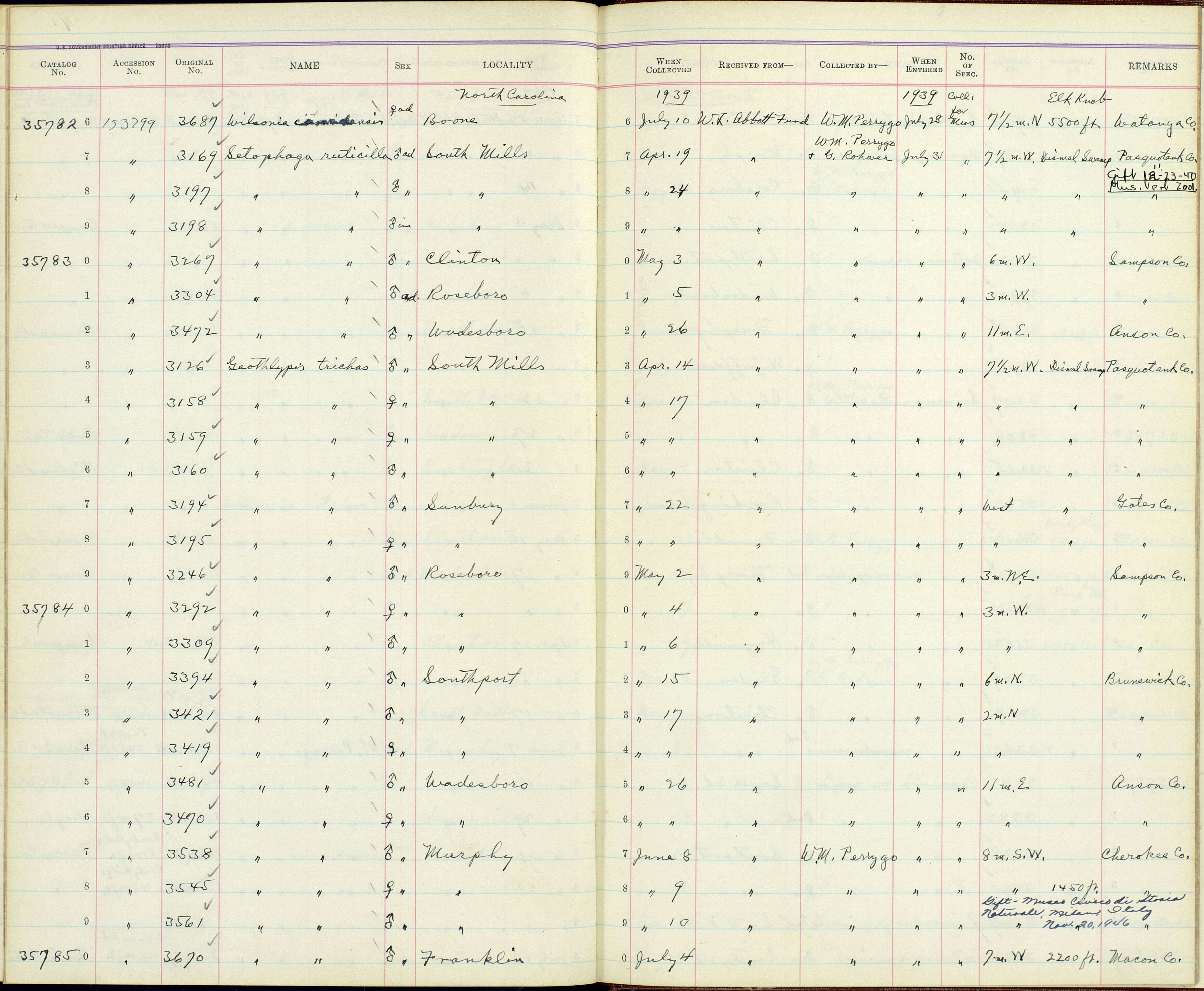 Geothlypis trichas typhicola Burleigh 1934 resmi