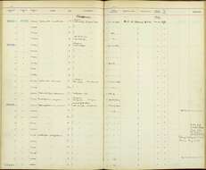 Plancia ëd Sitta frontalis Swainson 1820