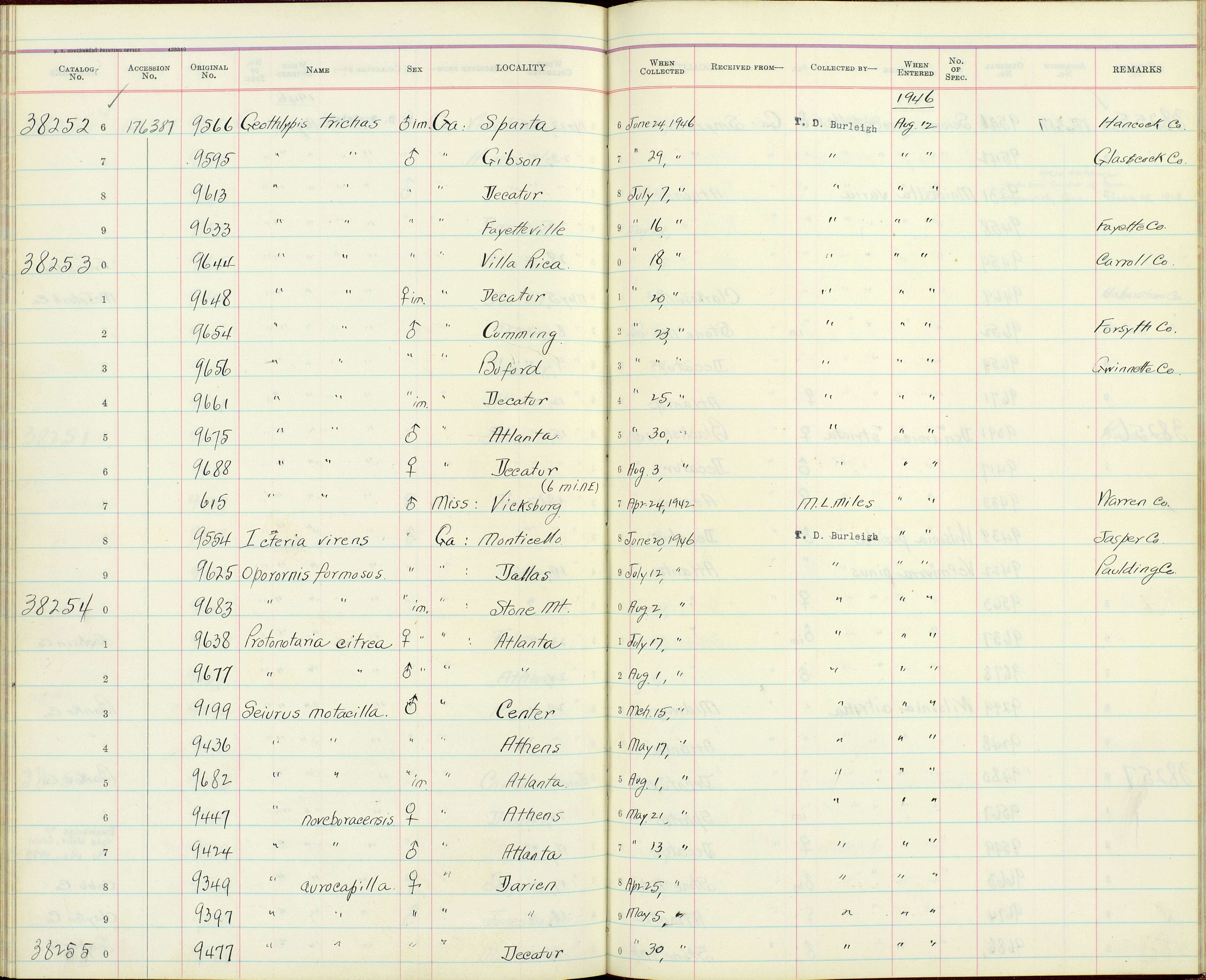 Geothlypis trichas typhicola Burleigh 1934 resmi