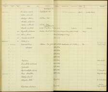 Geospiza scandens (Gould 1837) resmi