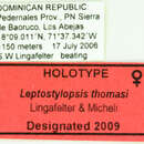 Image of Leptostylopsis thomasi Lingafelter & Micheli 2009