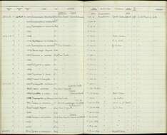 Image of Thamnophilus doliatus capistratus Lesson & R 1840