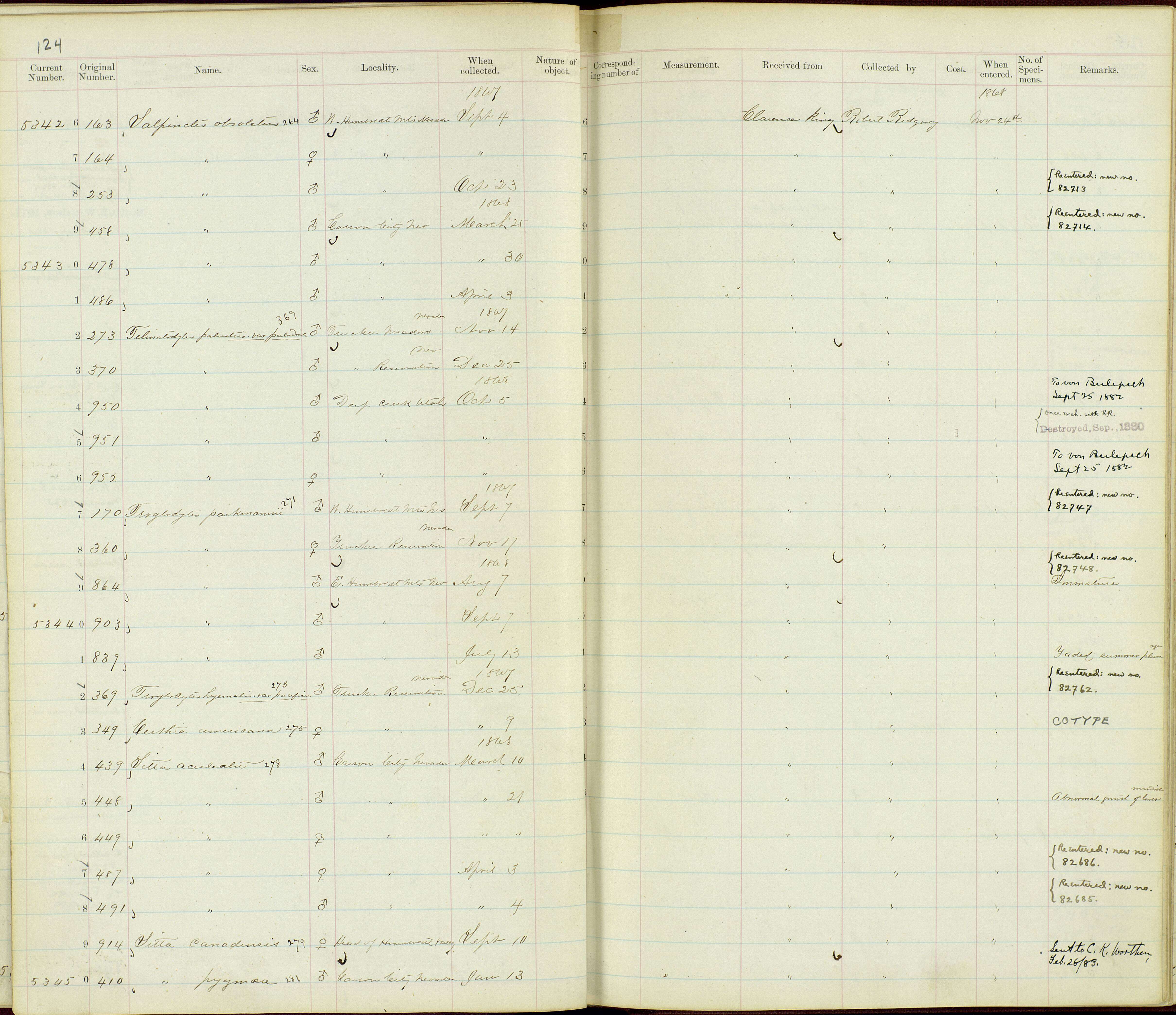 Image de Sitta carolinensis tenuissima Grinnell 1918