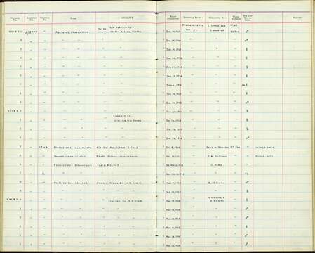 Image de Telespiza Wilson & SB 1890