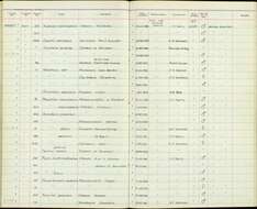 Pooecetes Baird & SF 1858 resmi