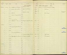 Image of Nectarinia kilimensis kilimensis Shelley 1885