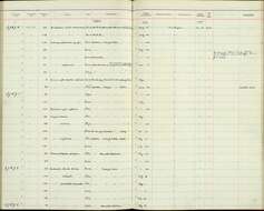 Plancia ëd Dicaeum erythrorhynchos ceylonense Babault 1920