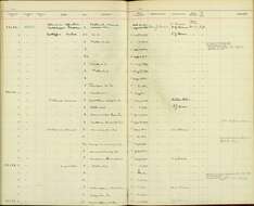 Geothlypis trichas trichas (Linnaeus 1766) resmi